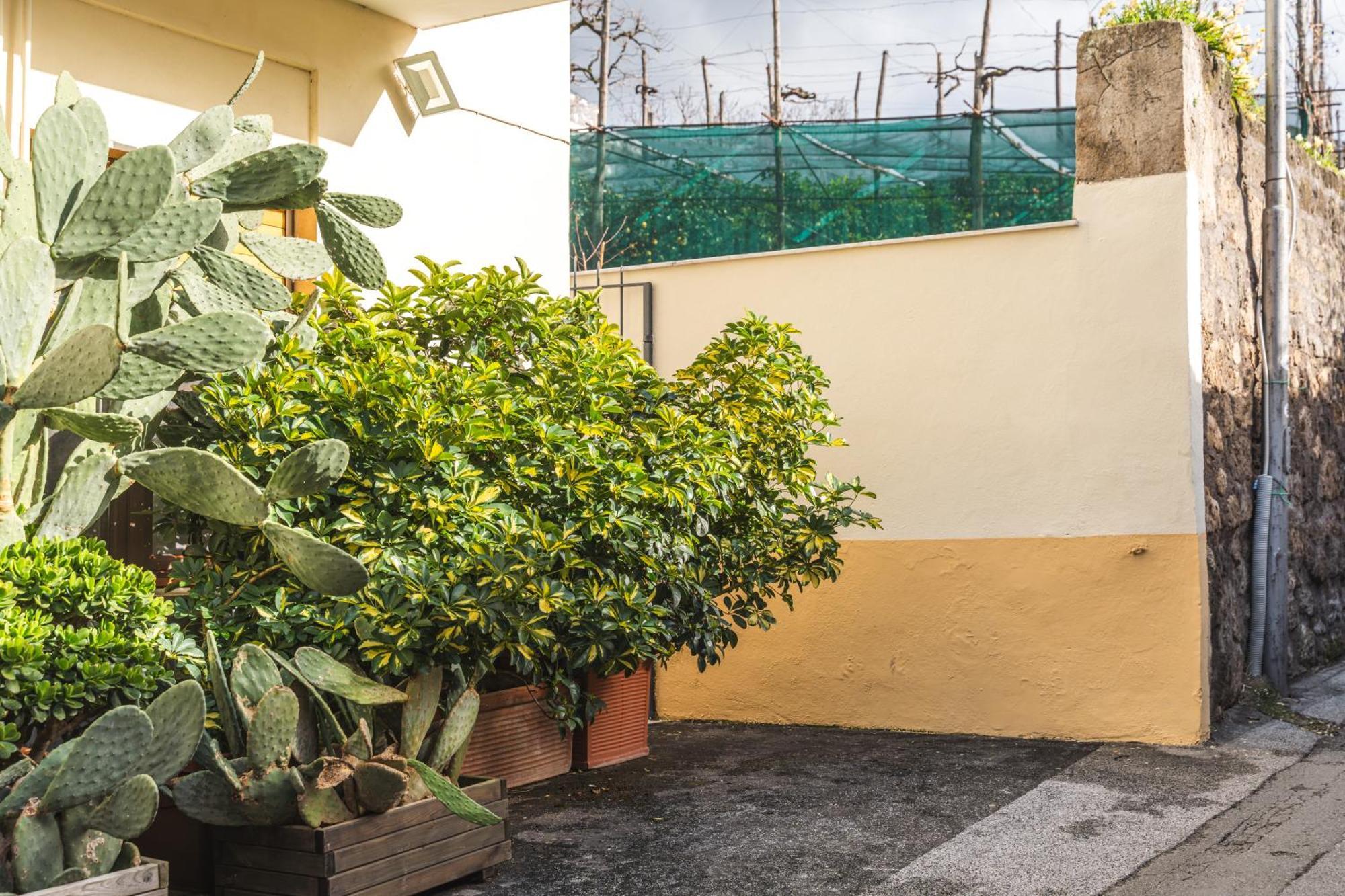 Sorrento Central Flat מראה חיצוני תמונה